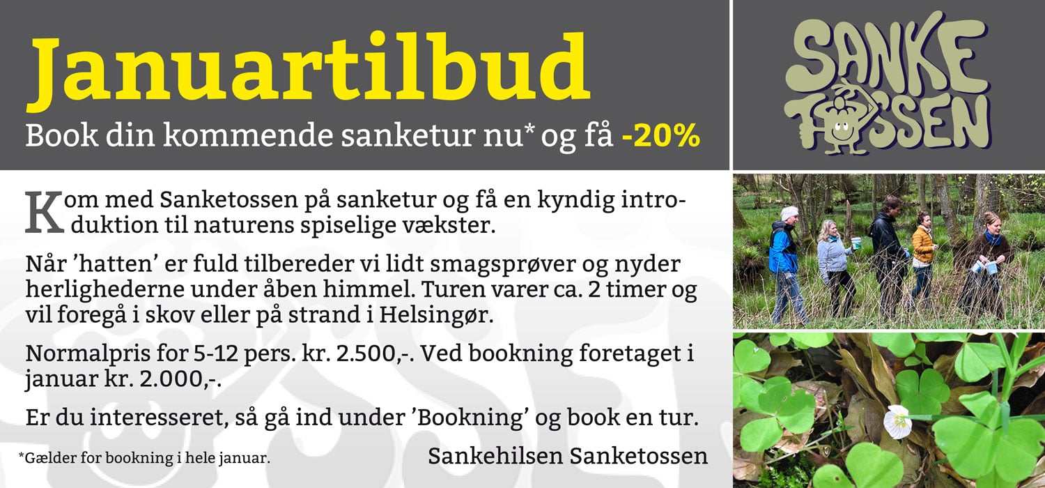 Januartilbud_-20%_Sanketossen Januartilbud_-20%_Sanketossen