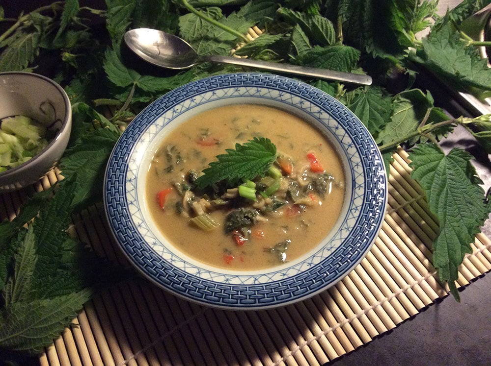 Thai-inspireret brændenældesuppe. Foto Mette Maulitz