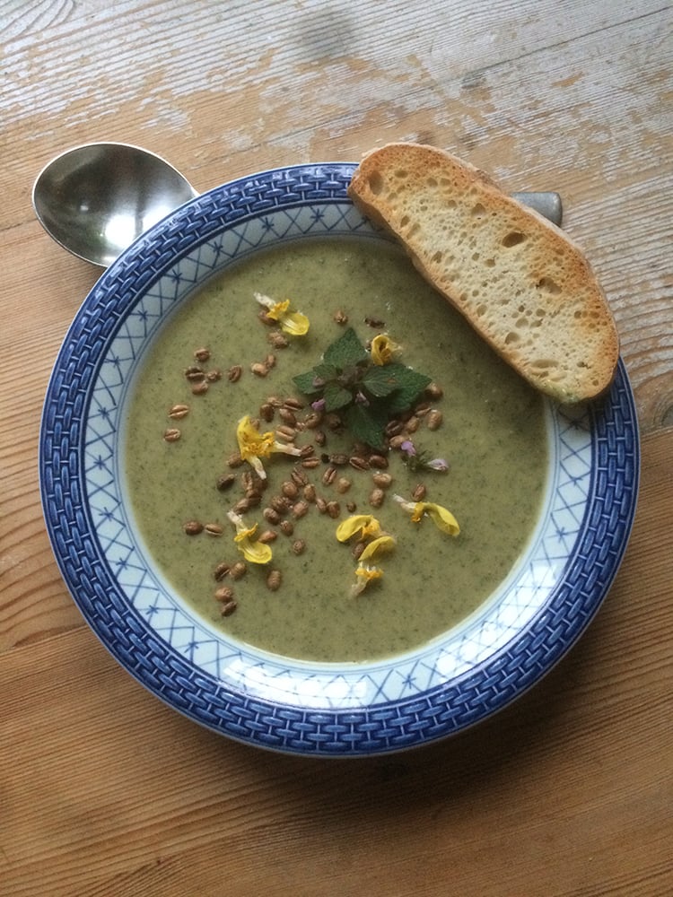 Gazpacho med brændenælder og galiamelon. Foto Mette Maulitz